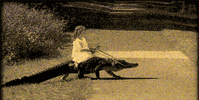 Girl riding gator